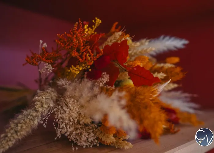 La Remise De Papet Vakantiehuis